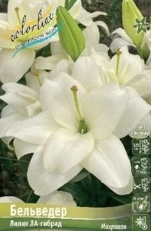 Снимок экрана 2024-03-05 115215