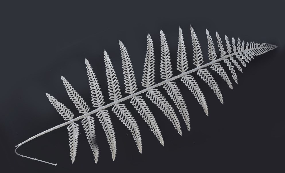 Снимок экрана 2023-11-10 084318