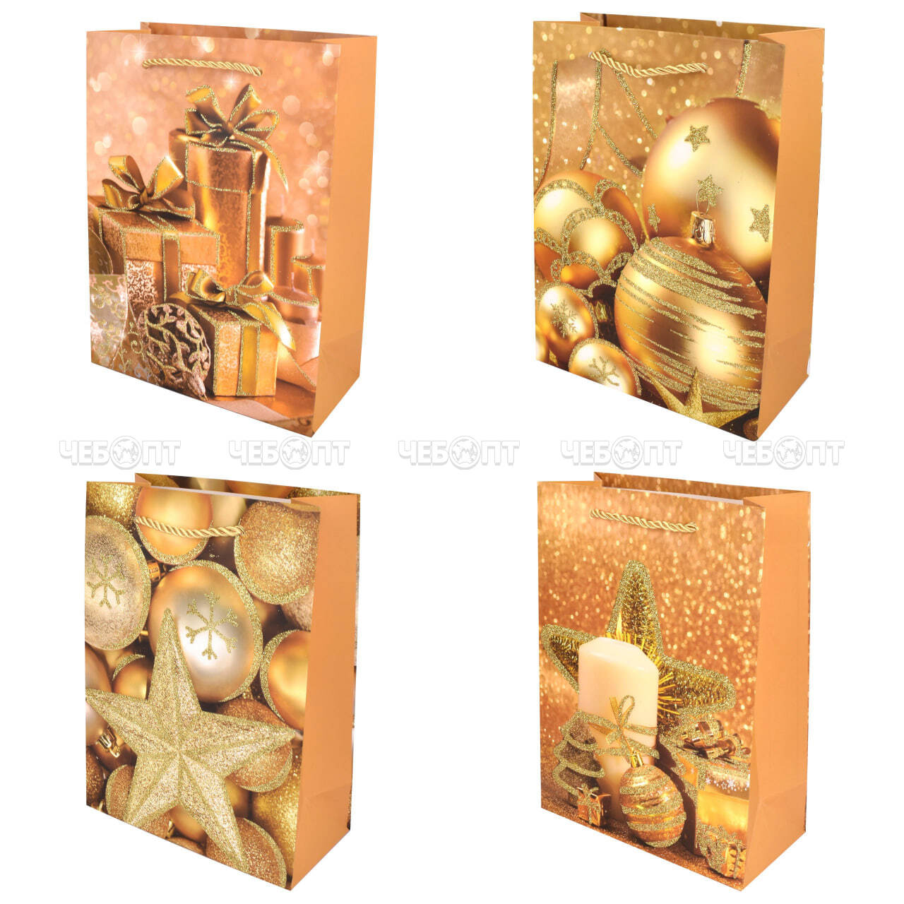 photo_2024-08-12_09-24-06_1