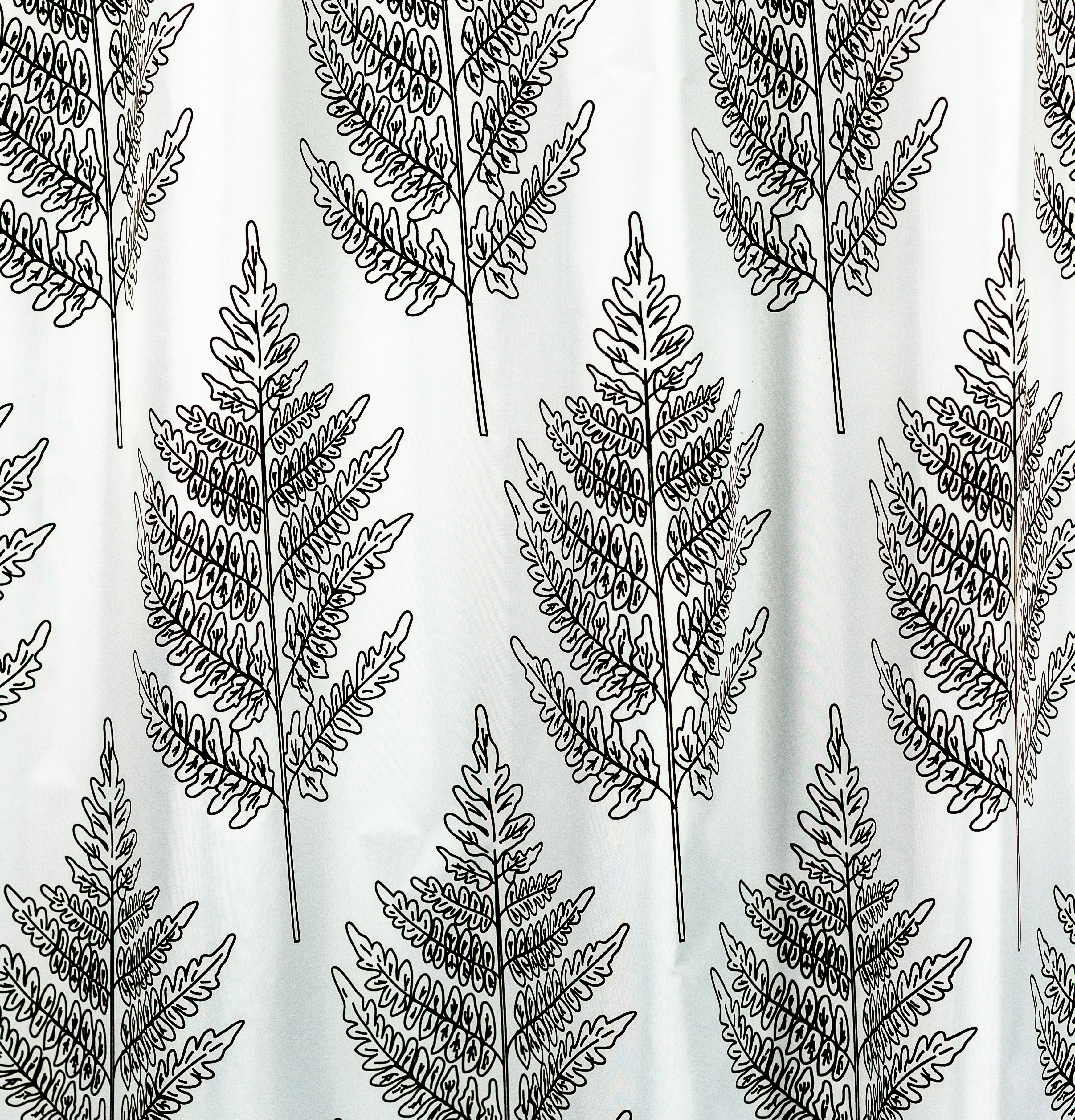 TW6A5687