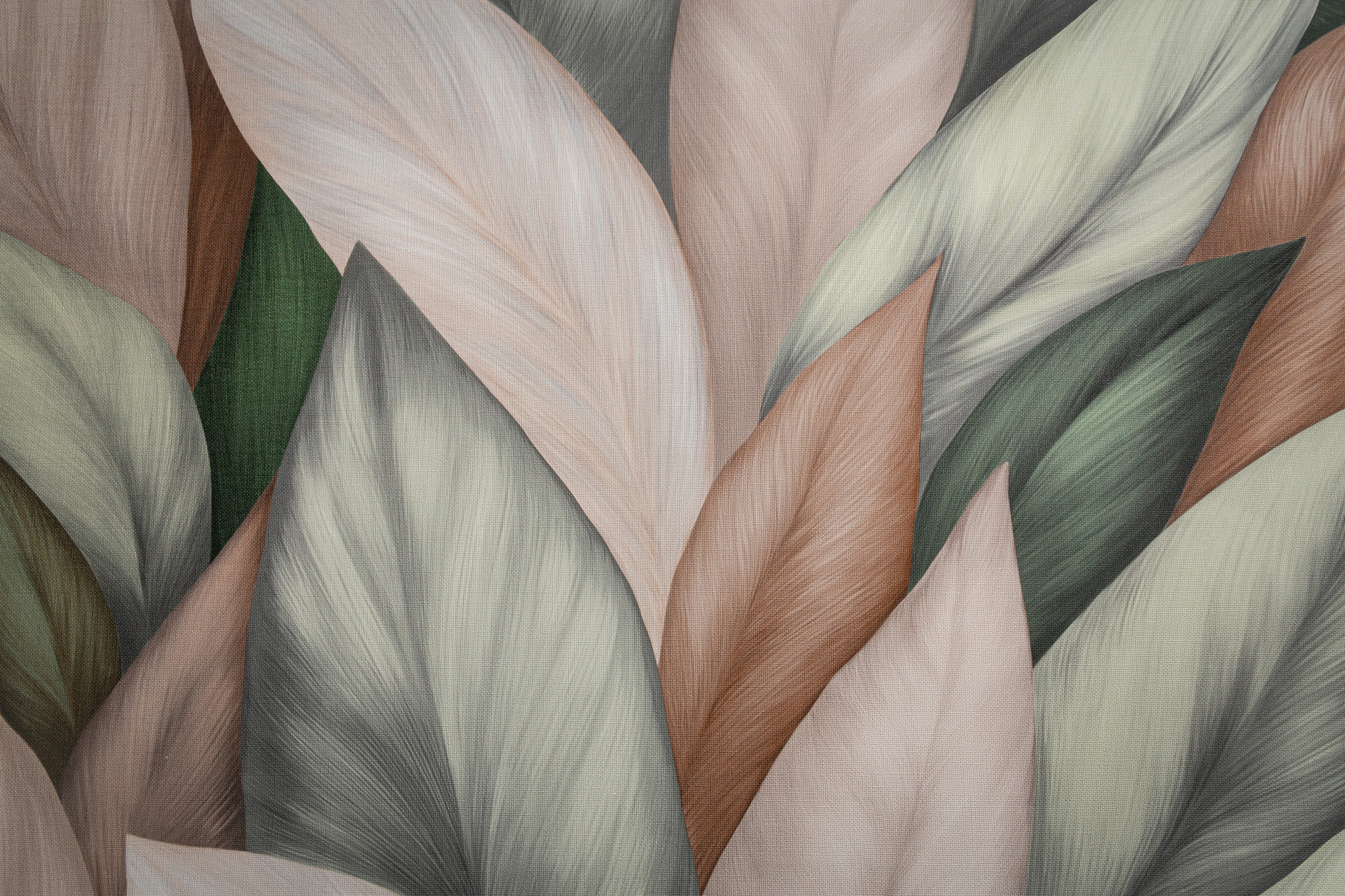 CAT_MACRO_PHOTOlI_TC72480-72_(1)