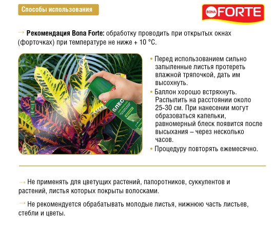 Снимок экрана 2023-11-24 100357