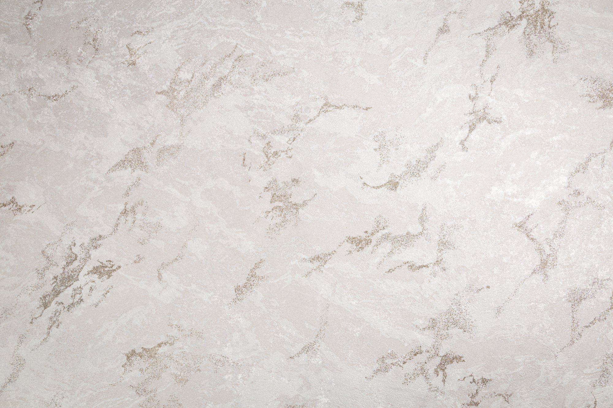 CAT_MACRO_PHOTOpI_HC72438-27_(1)