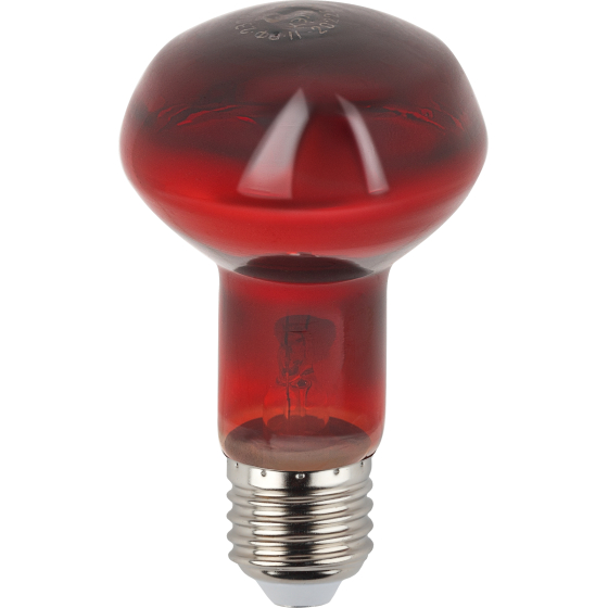 188051003766be6d79ef530