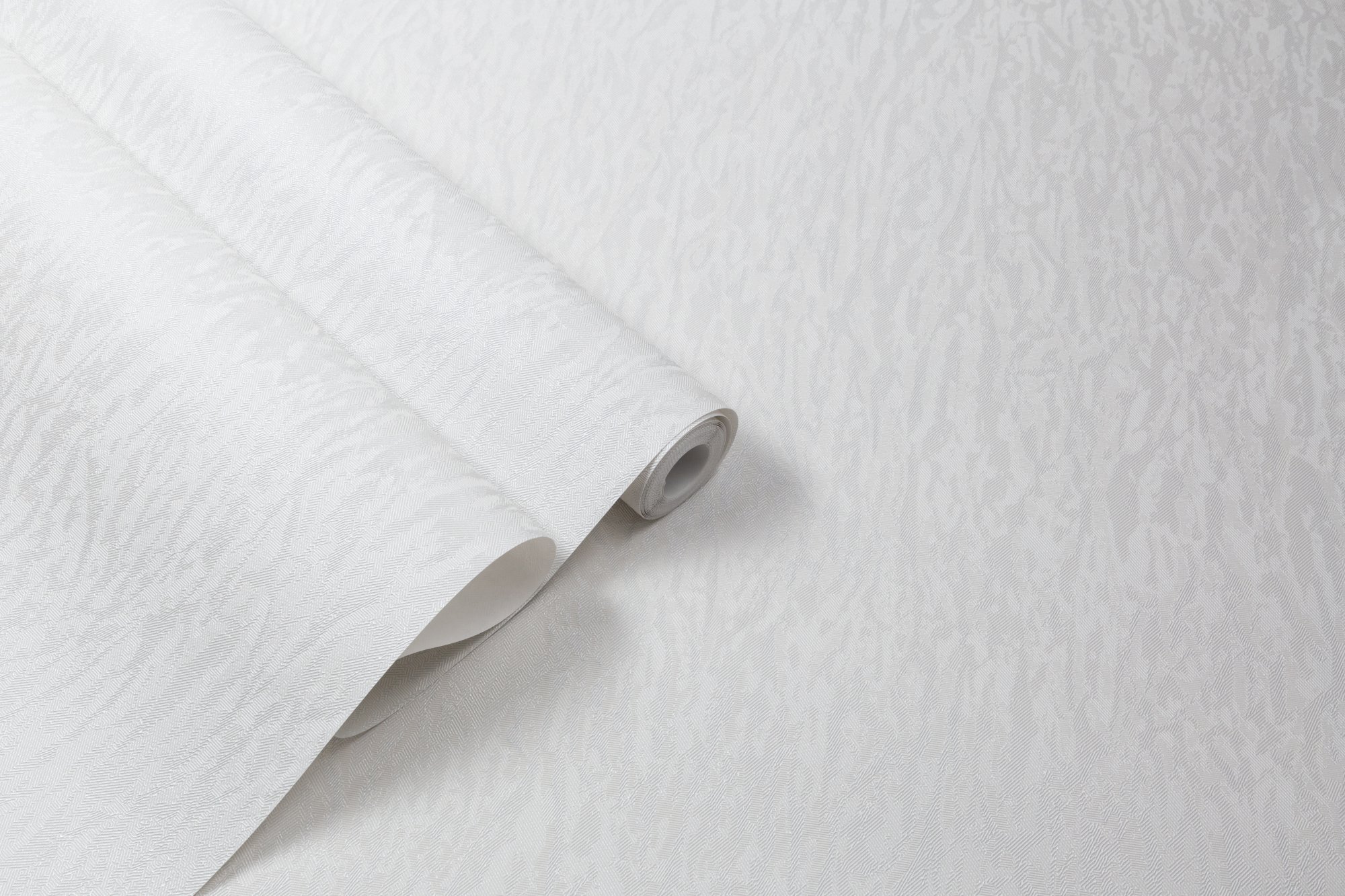 CAT_MACRO_PHOTOmI_HC31236-14_(6)