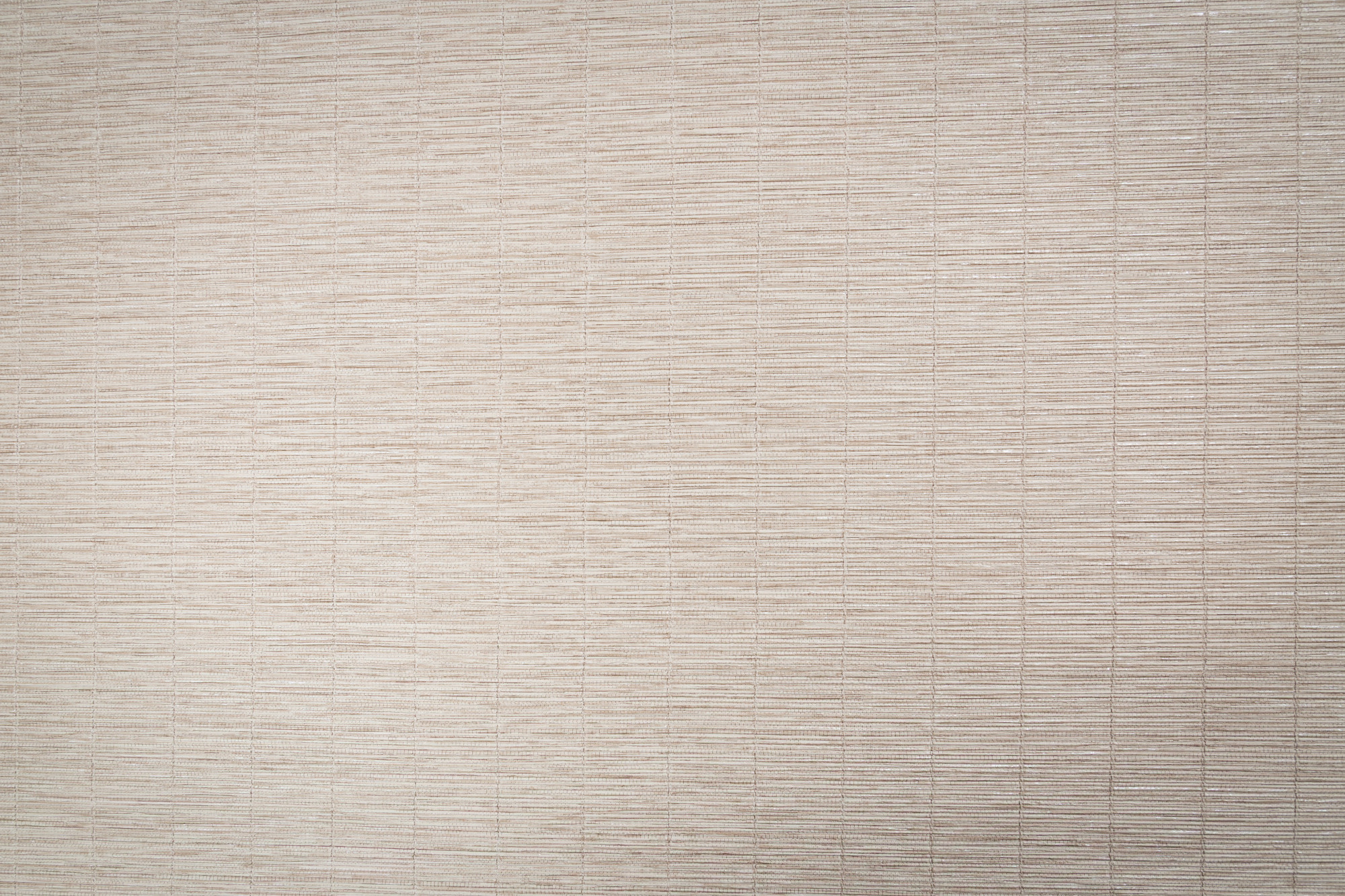 CAT_MACRO_PHOTOhI_TC72457-22_(1)