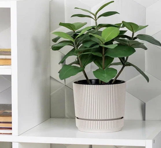 Снимок экрана_13-5-2025_8560_yandex.ru