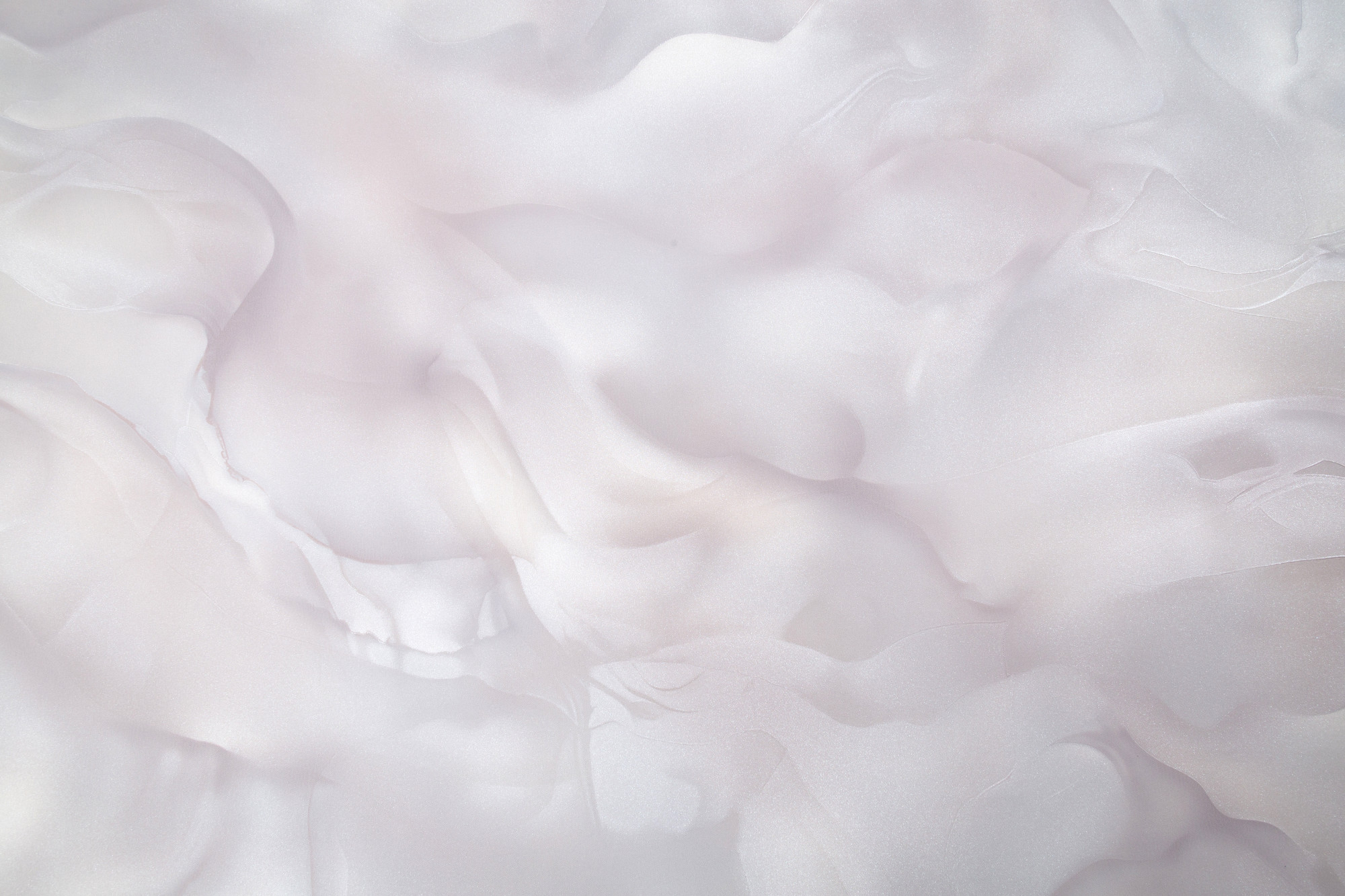 CAT_MACRO_PHOTObI_HC72452-24_(1)