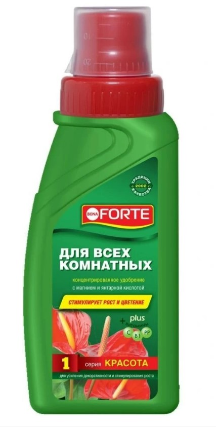 Снимок экрана 2026-10-14 165708