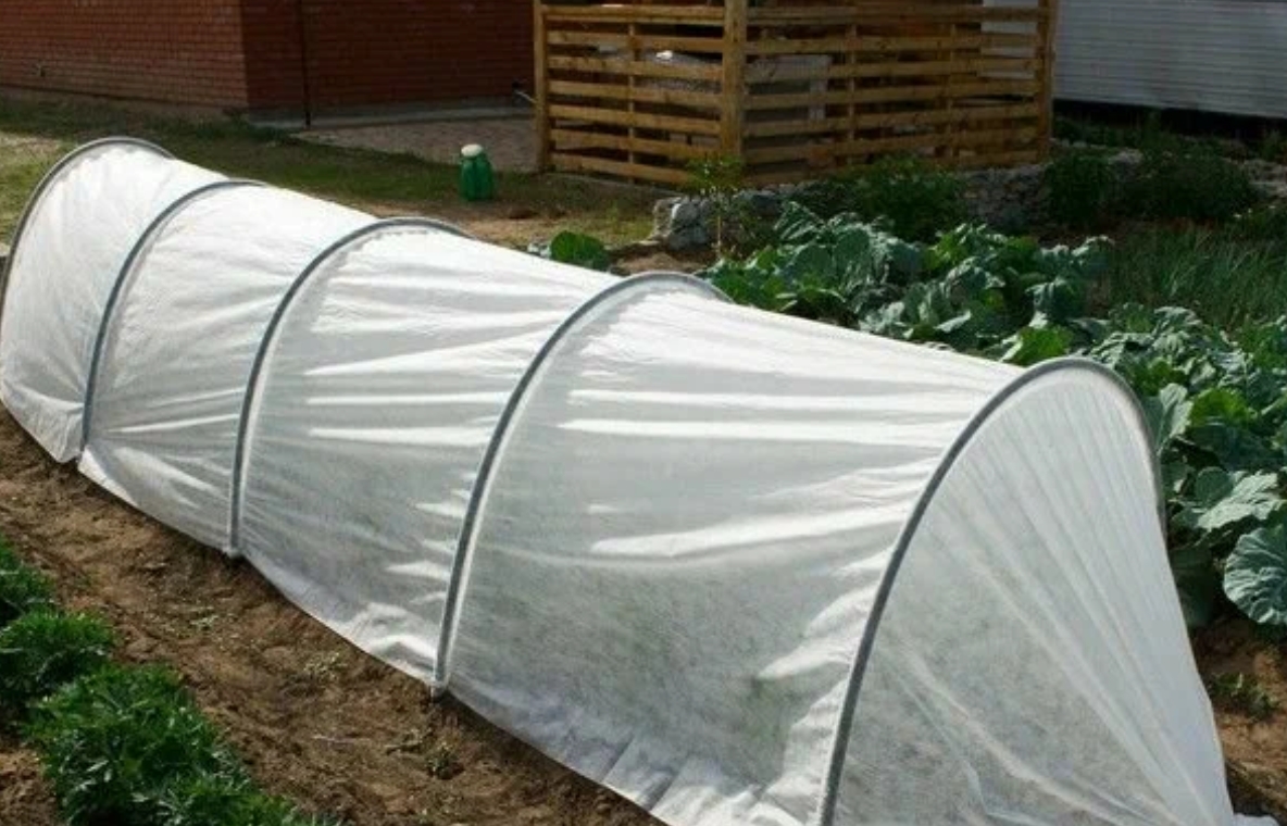 Снимок экрана_8-7-2025_161625_market.yandex.ru