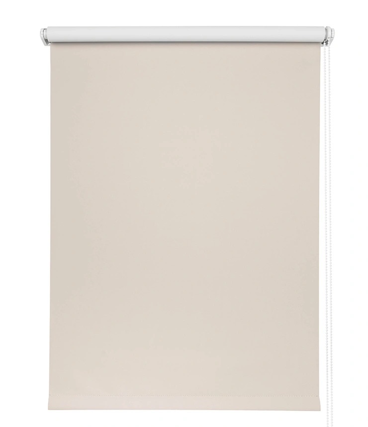 Болид-муссон