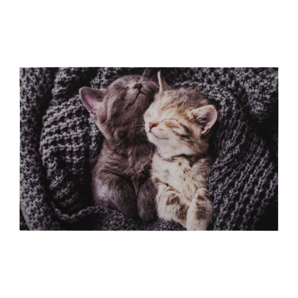 0a221a6b-9997-11ee-80ef-941882690cef_super_01