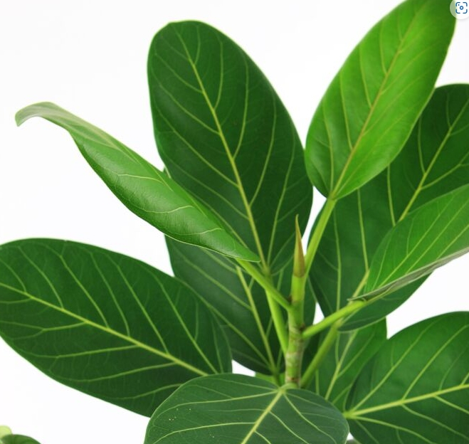 Снимок экрана_14-2-2025_9237_www.100sp.ru