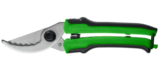 Снимок экрана 2025-03-19 183854