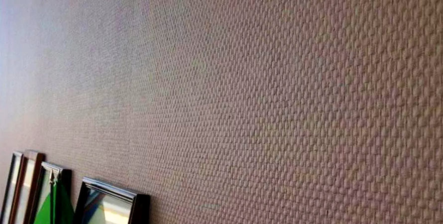 steklooboi-rogozhka-v-interere