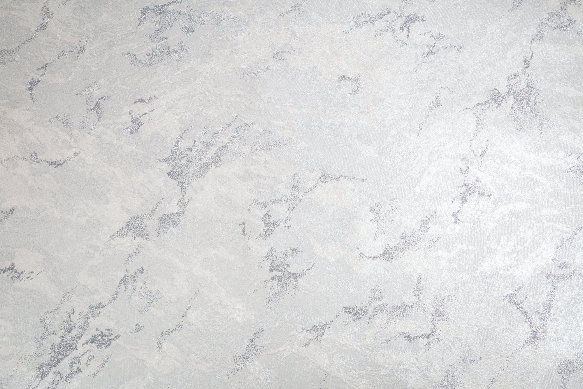 CAT_MACRO_PHOTOjI_HC72438-14_(1)