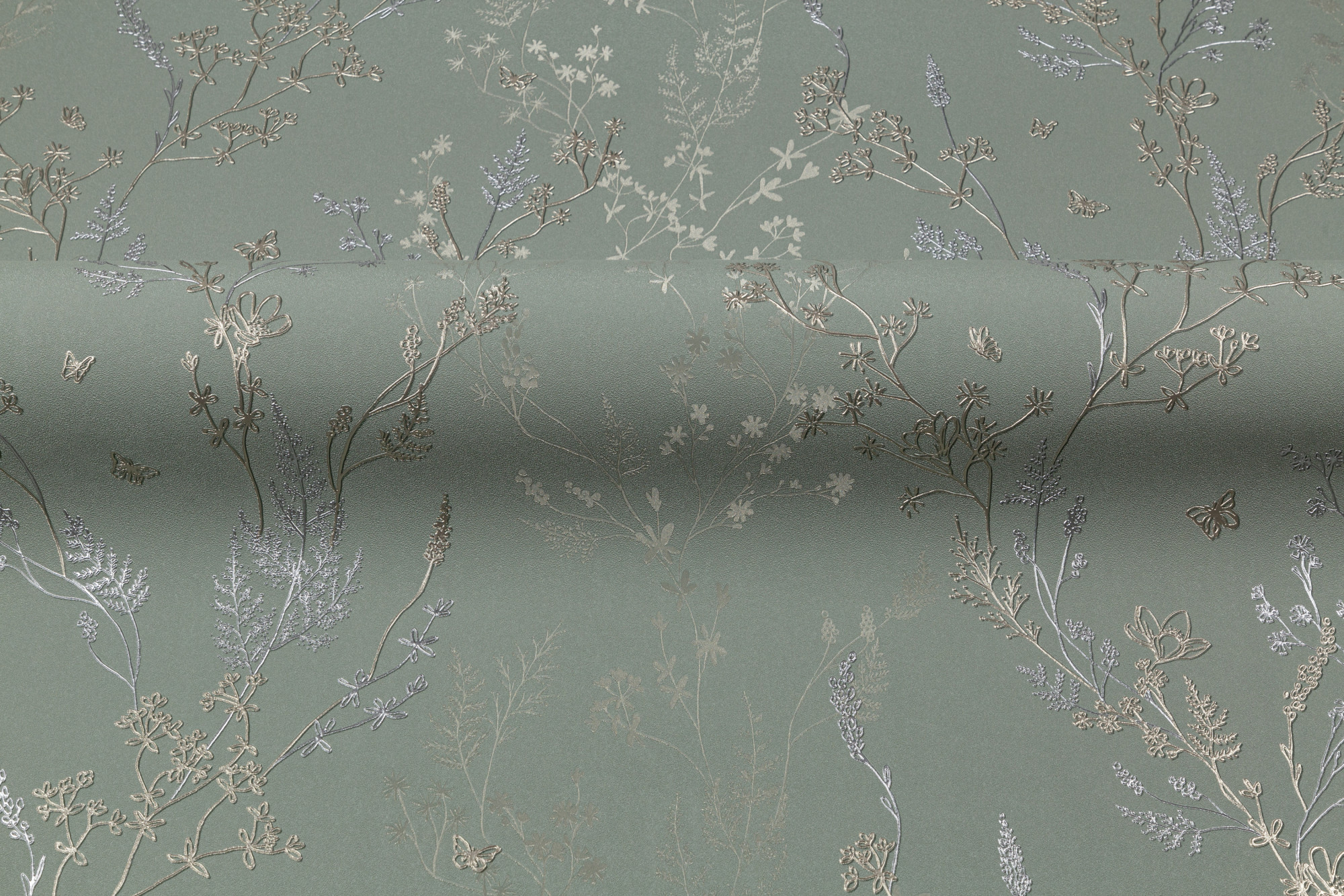 CAT_MACRO_PHOTOuI_HC72414-74_(9)