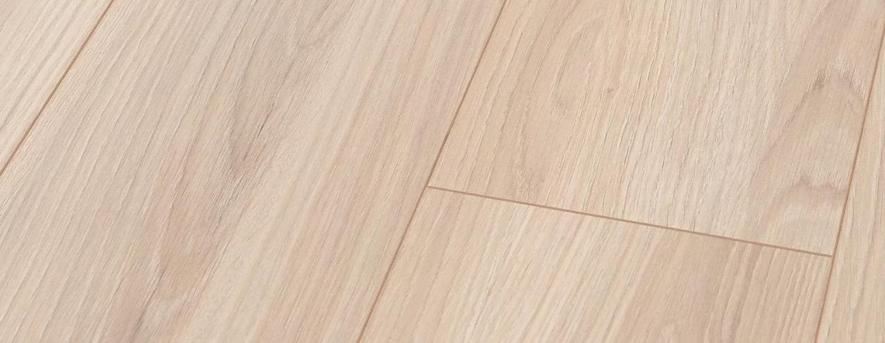 Annotation 2026-02-10 105431