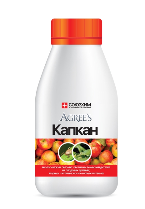 Снимок экрана_10-6-2025_133212_blagodatmir.ru