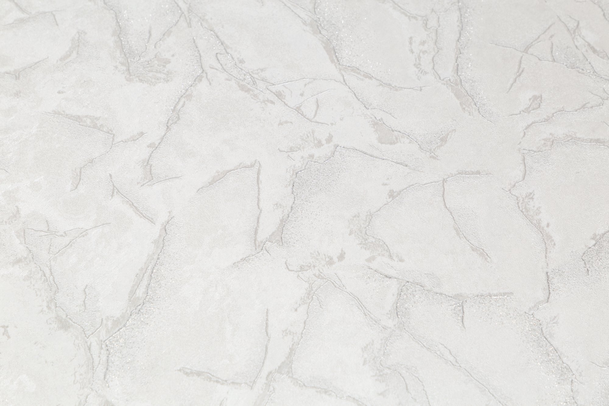 CAT_MACRO_PHOTOvI_SL72389-11_(3)