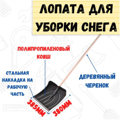 т5