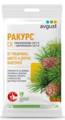 ракурс