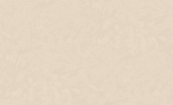 Oboi_Fiora_1190-02_vspenennyy_vinil_na_bumazhnoy_2