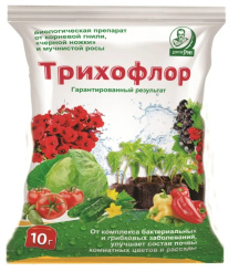 Снимок