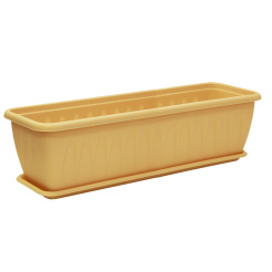 аллиц бел
