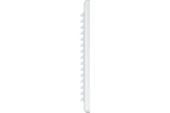 b1
