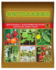 Снимок