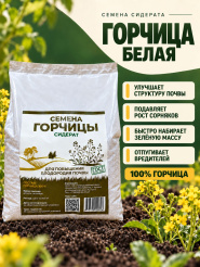 Горчица