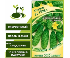 Снимок экрана_10-2-2025_82213_yandex.ru