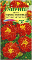 Снимок