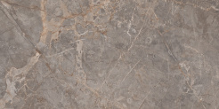 MILTONIA GREY P1 (1)