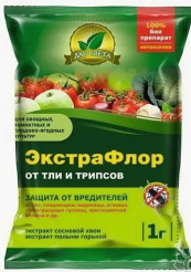 Снимок