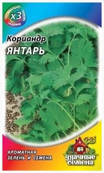 Снимок