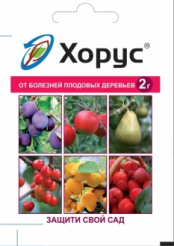 Снимок экрана 2025-03-15 112752